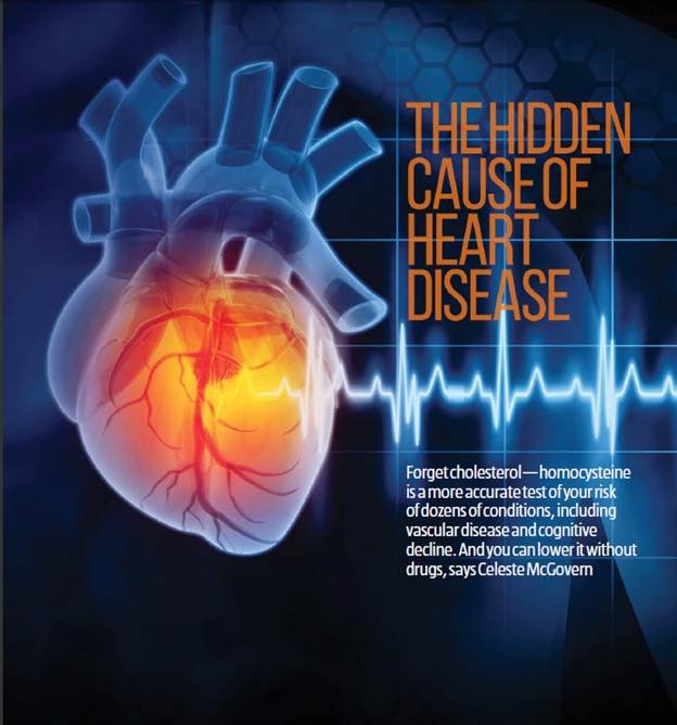 A close-up of a human heart

AI-generated content may be incorrect.